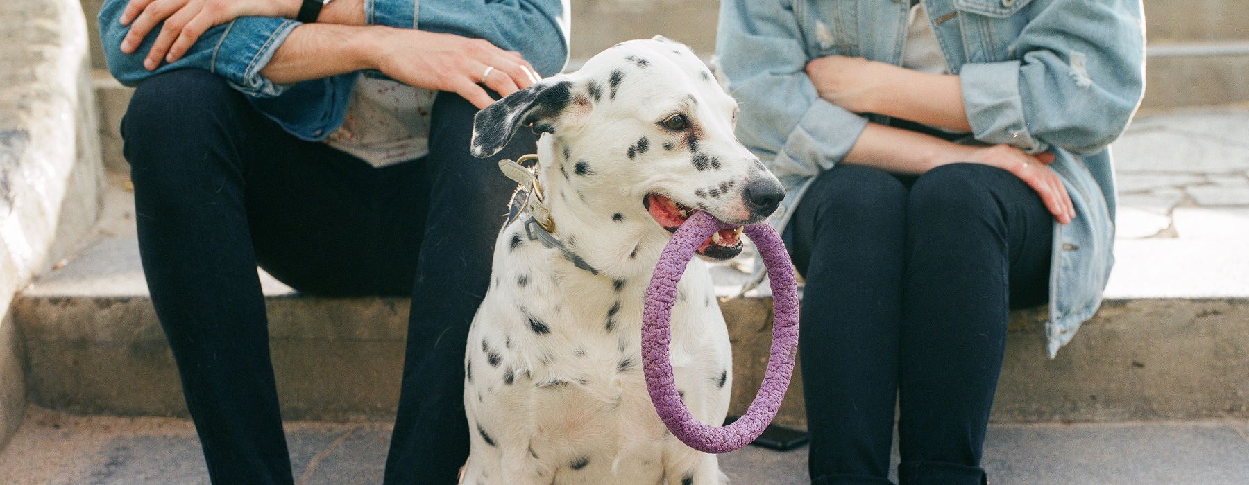 Cute couple with a dog