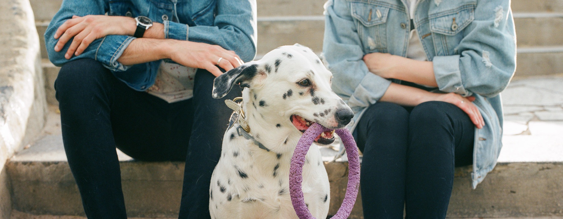 Cute couple  with pet dog